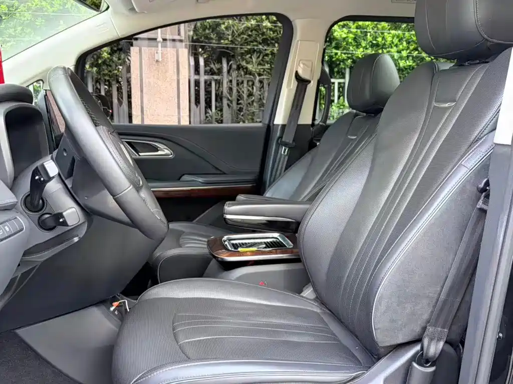Hongqi Hongqi HQ9 — миниатюра 7