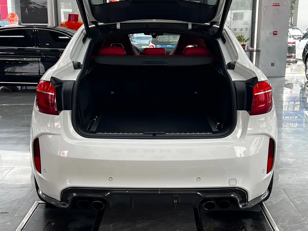 BMW X6 M X6 M, фото 29