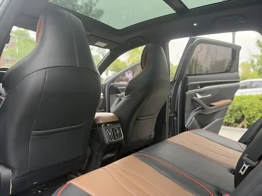 BYD PLUS — миниатюра 7
