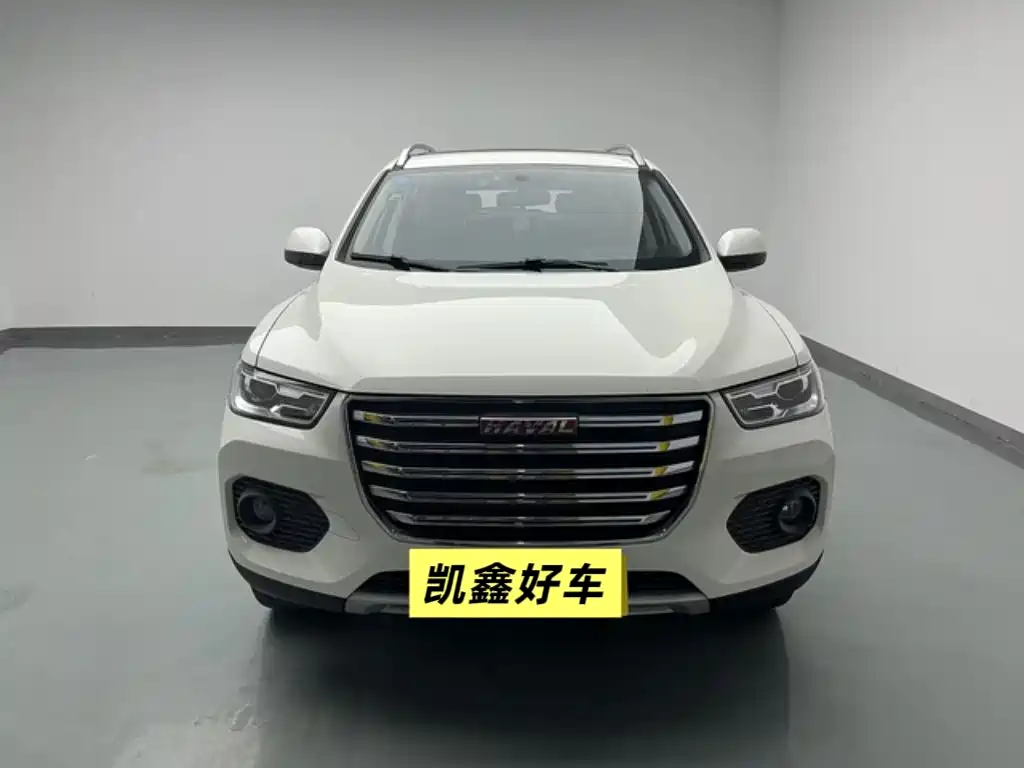 HAVAL H2S