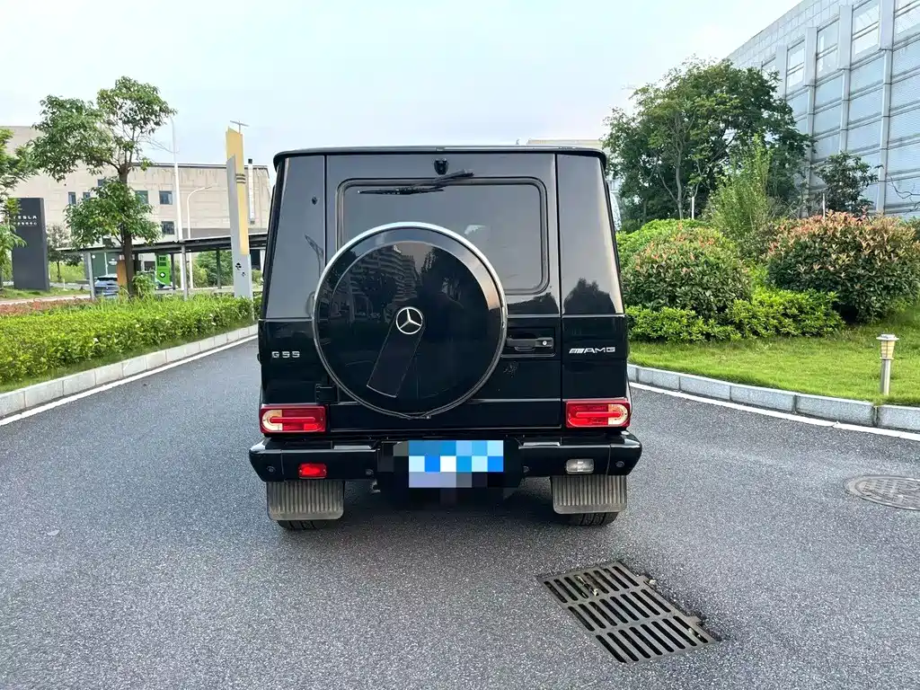 Mercedes-Benz G-Class A MG G AMG 2009 AMG G 55