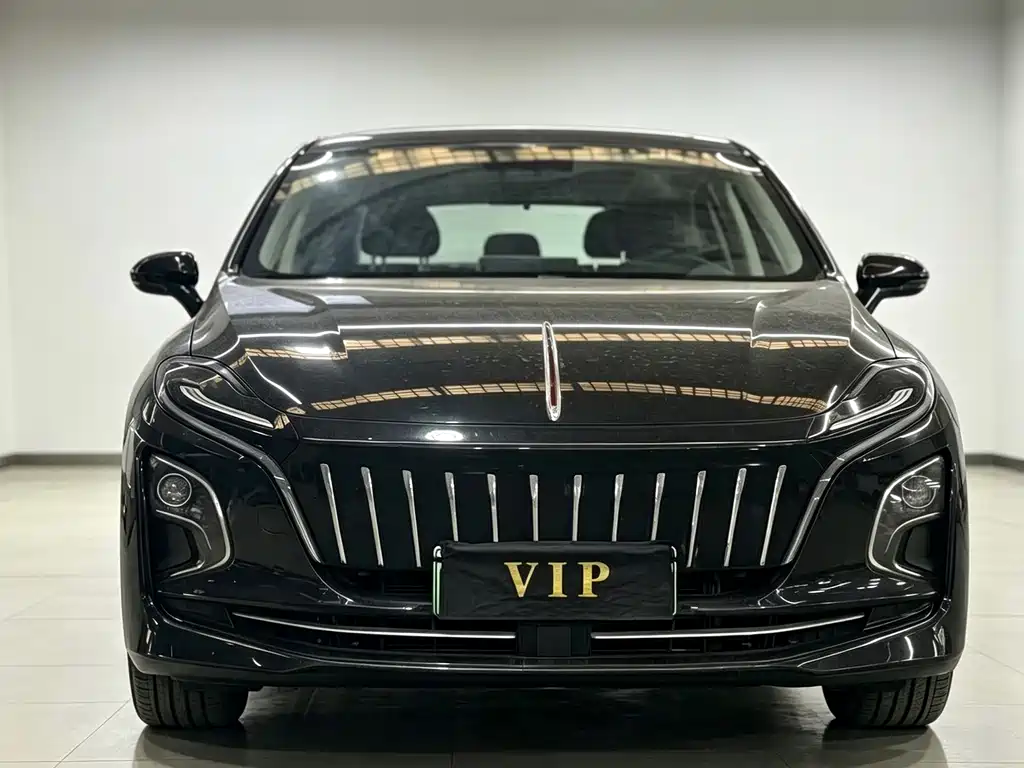 Hongqi Hongqi E-QM5 — миниатюра 2