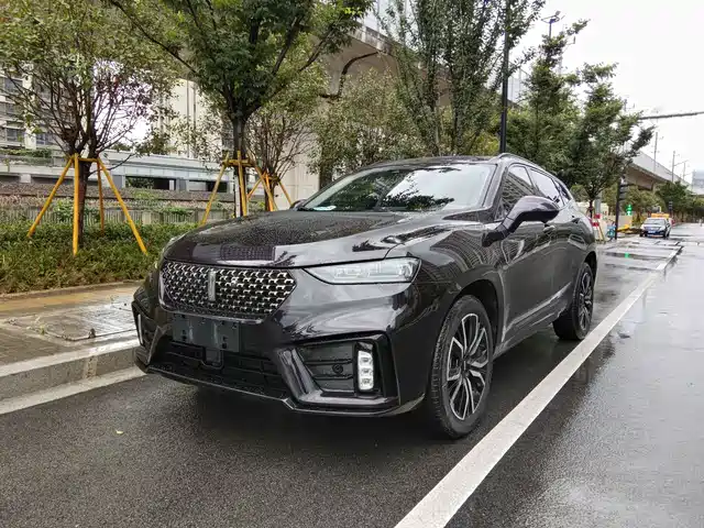 2020 Wey VV7