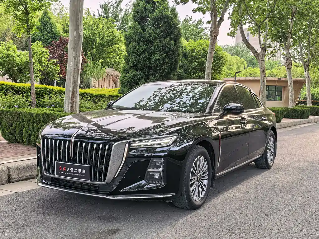 Hongqi Hongqi H5 2024