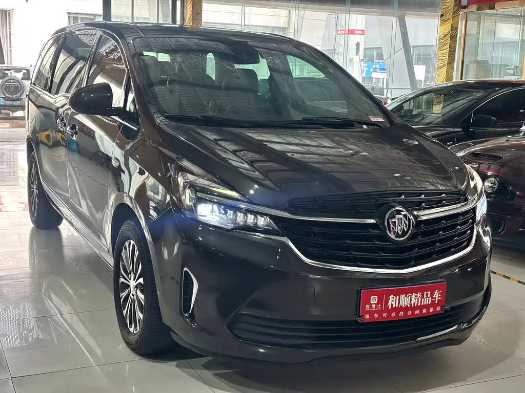 Buick GL8 — миниатюра 3