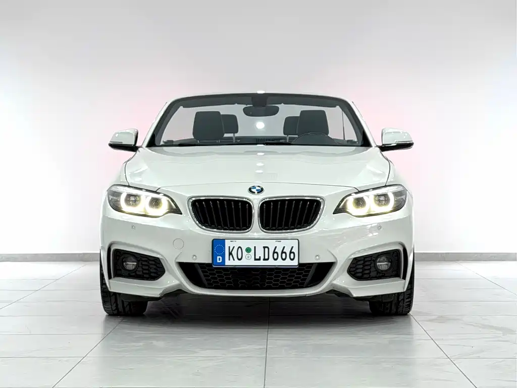 BMW 2 SERIES
