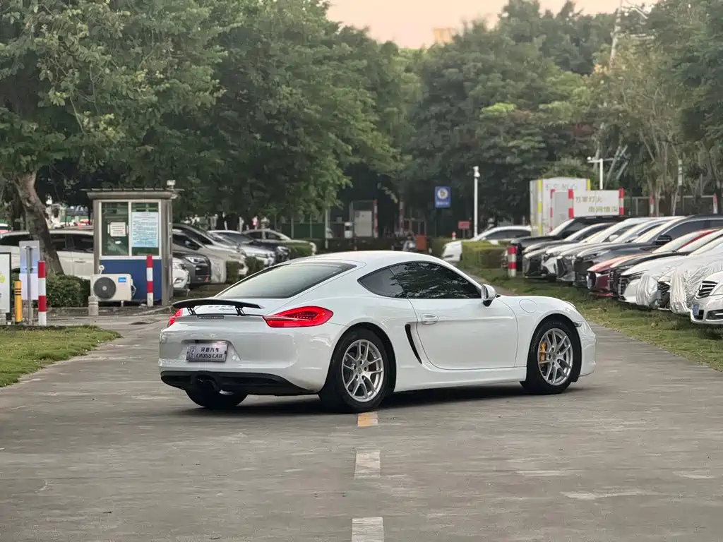 Porsche Cayman — миниатюра 5