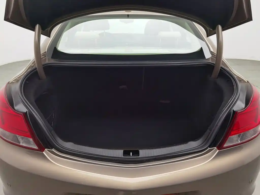 Buick Regal — миниатюра 16