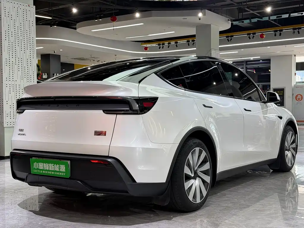 Tesla Model Y — миниатюра 16