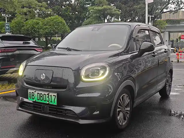 2021 Leapmotor T03