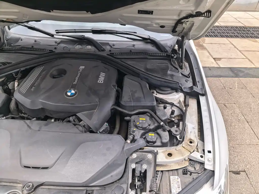 BMW 3 Series 3 2019 320Li Fashion
