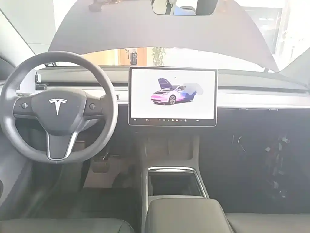 Tesla Model Y — миниатюра 10