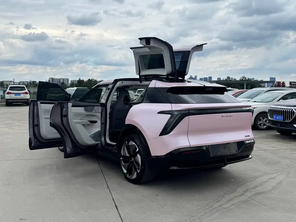 HiPhi HiPhi Y 2023 560km Elite