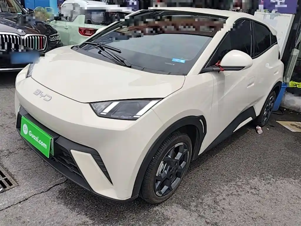 Byd Seagull 2025