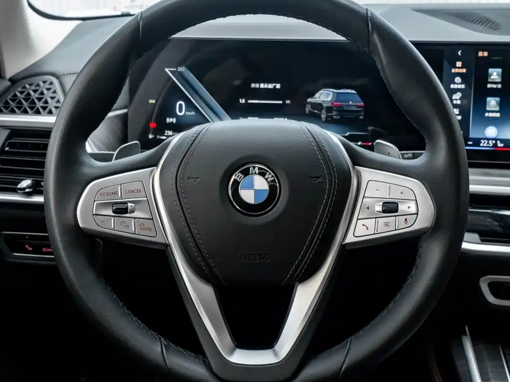 BMW X7 — миниатюра 16