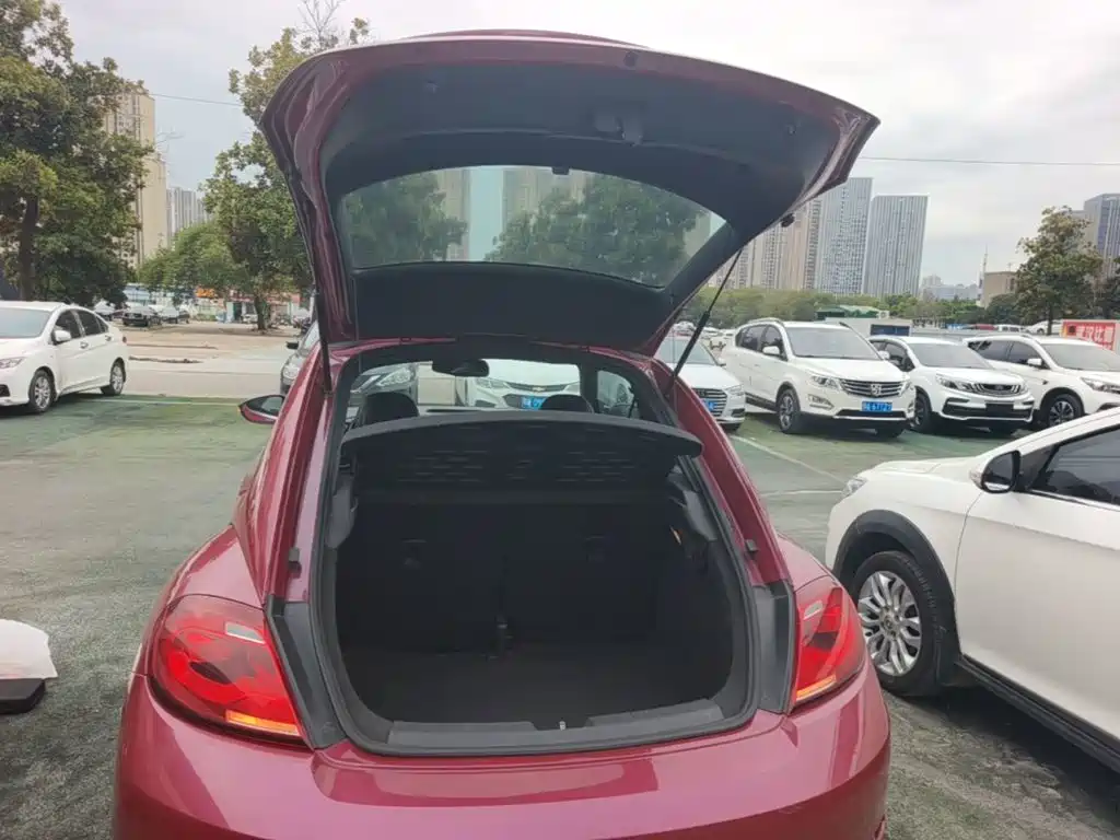 Volkswagen Beetle — миниатюра 19