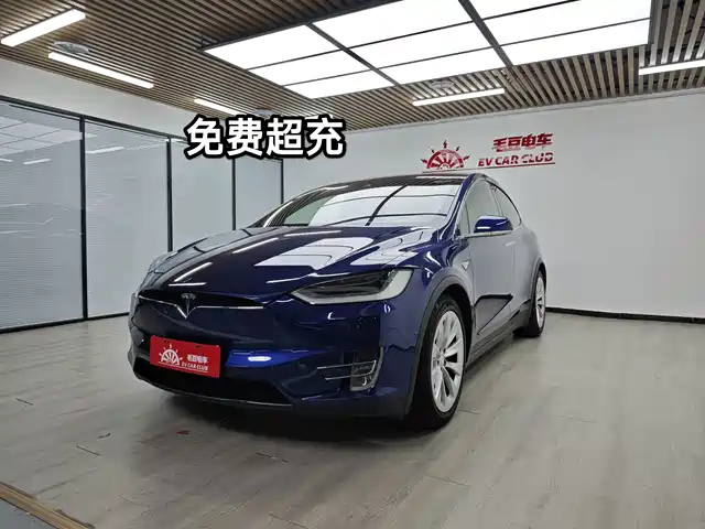 2017 Tesla Model X