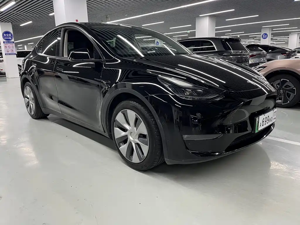 Tesla Model Y — миниатюра 3