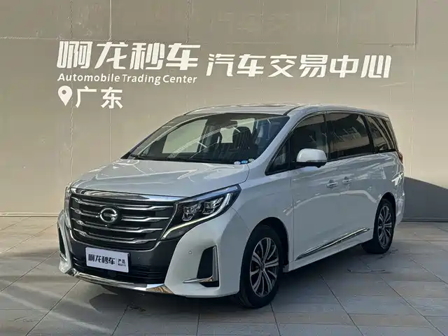 2020 GAC GN8