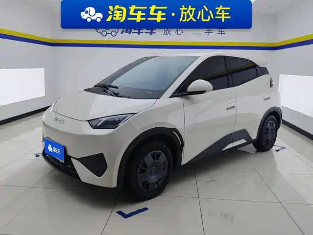 2025 BYD Seagull