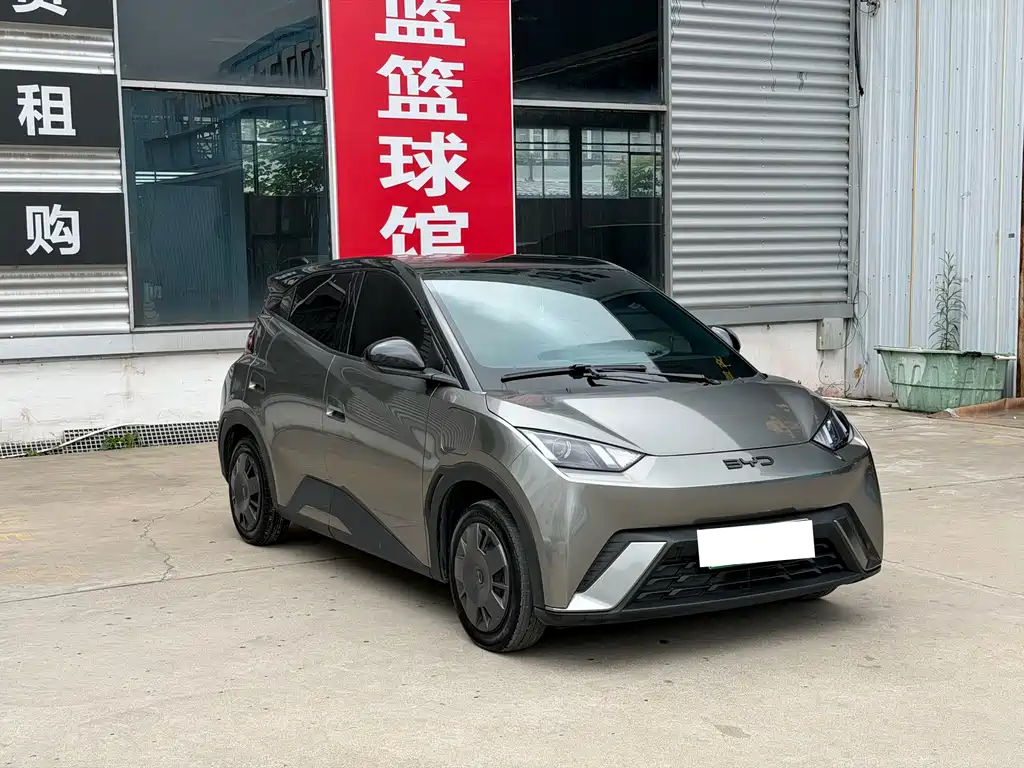 BYD Seagull 2024 305km
