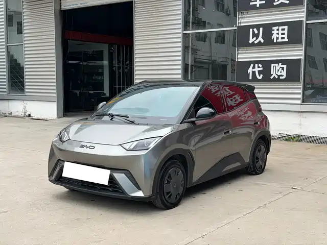 2024 BYD Seagull