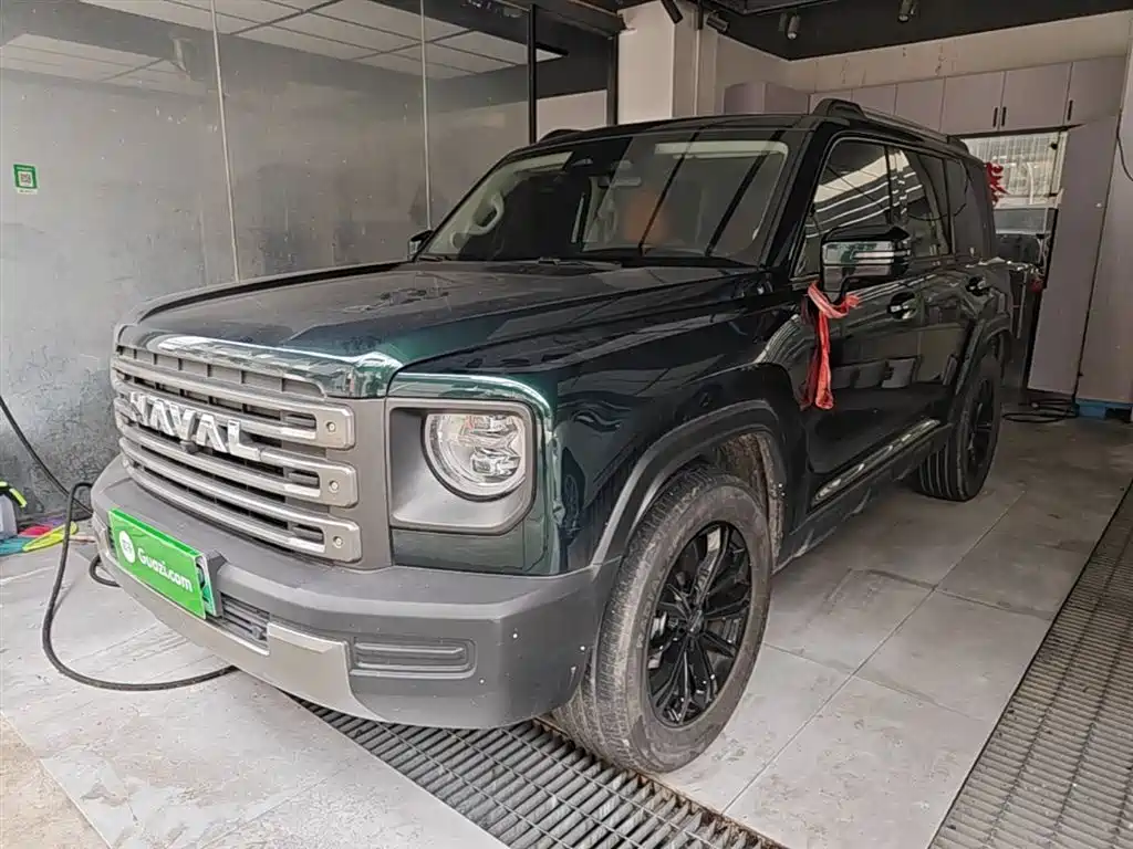 Haval Menglong New Energy 2024
