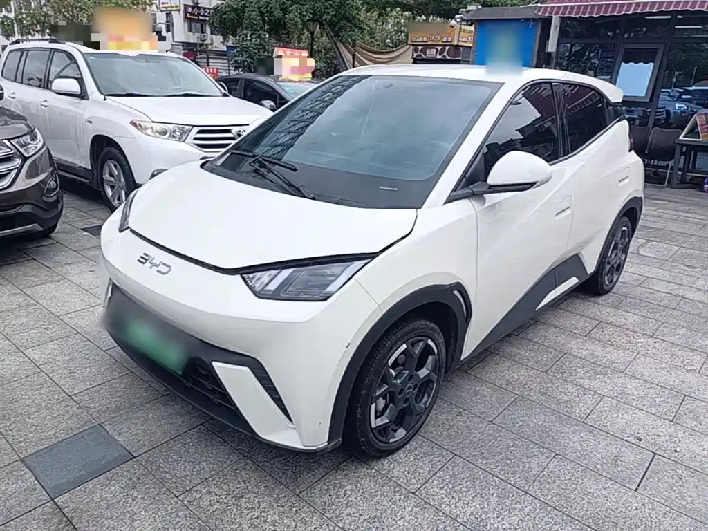 Byd Seagull 2024
