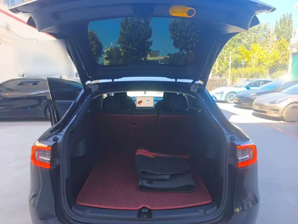 Tesla Model Y — миниатюра 19