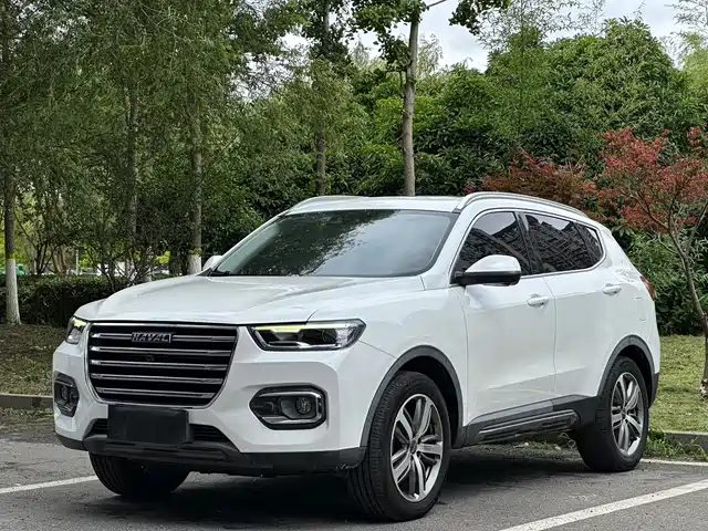 2019 Haval H6