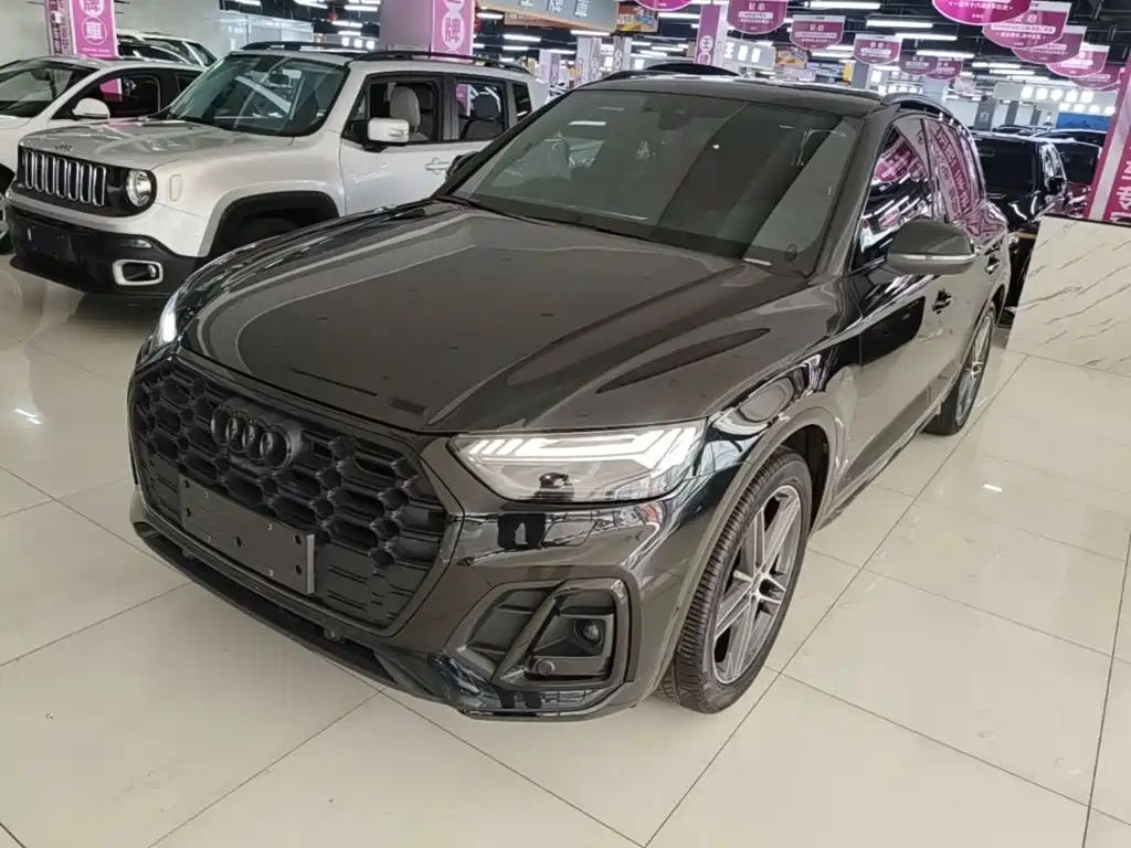 Audi SQ5 — миниатюра 2