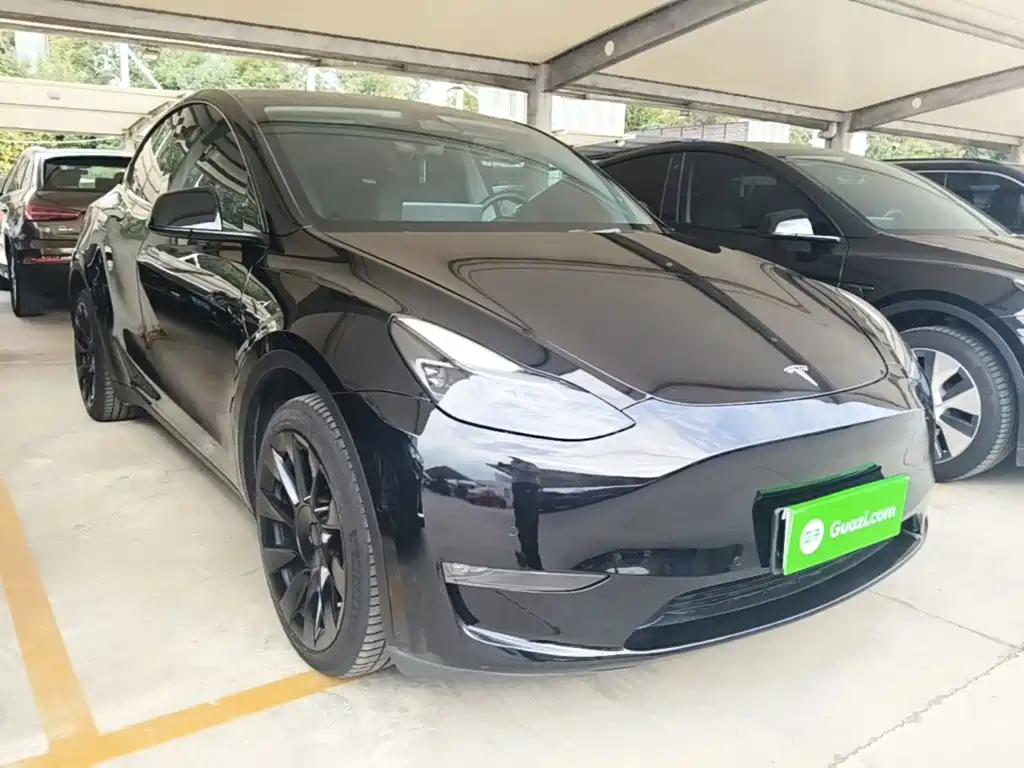 Tesla Model Y — миниатюра 4