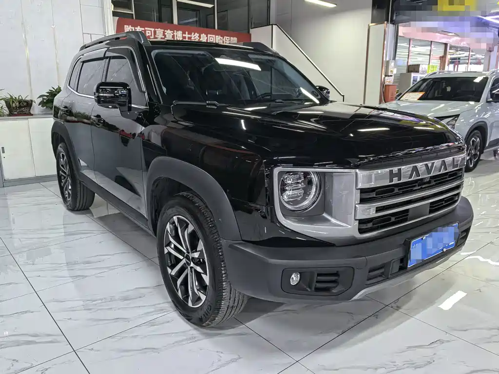 Haval Big Dog — миниатюра 3