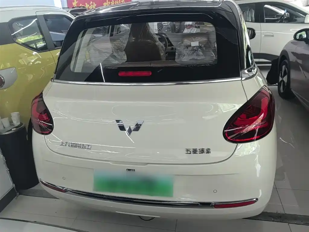 Wuling Binguo 2025 333km Enjoy