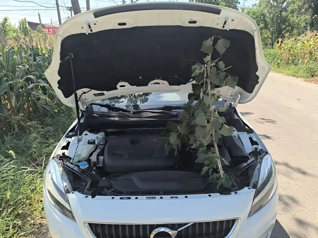 Volvo V40 — миниатюра 20
