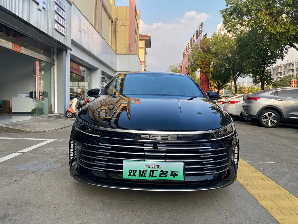 BYD Destroyer 05 — миниатюра 2