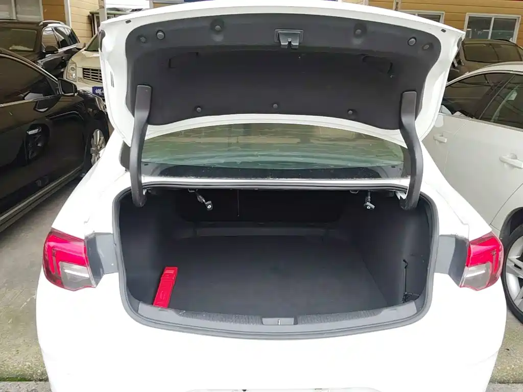 Buick Regal — миниатюра 19