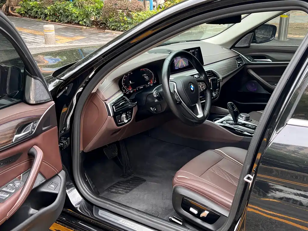 BMW 5 Series 5 2020 530Li xDrive M Sport