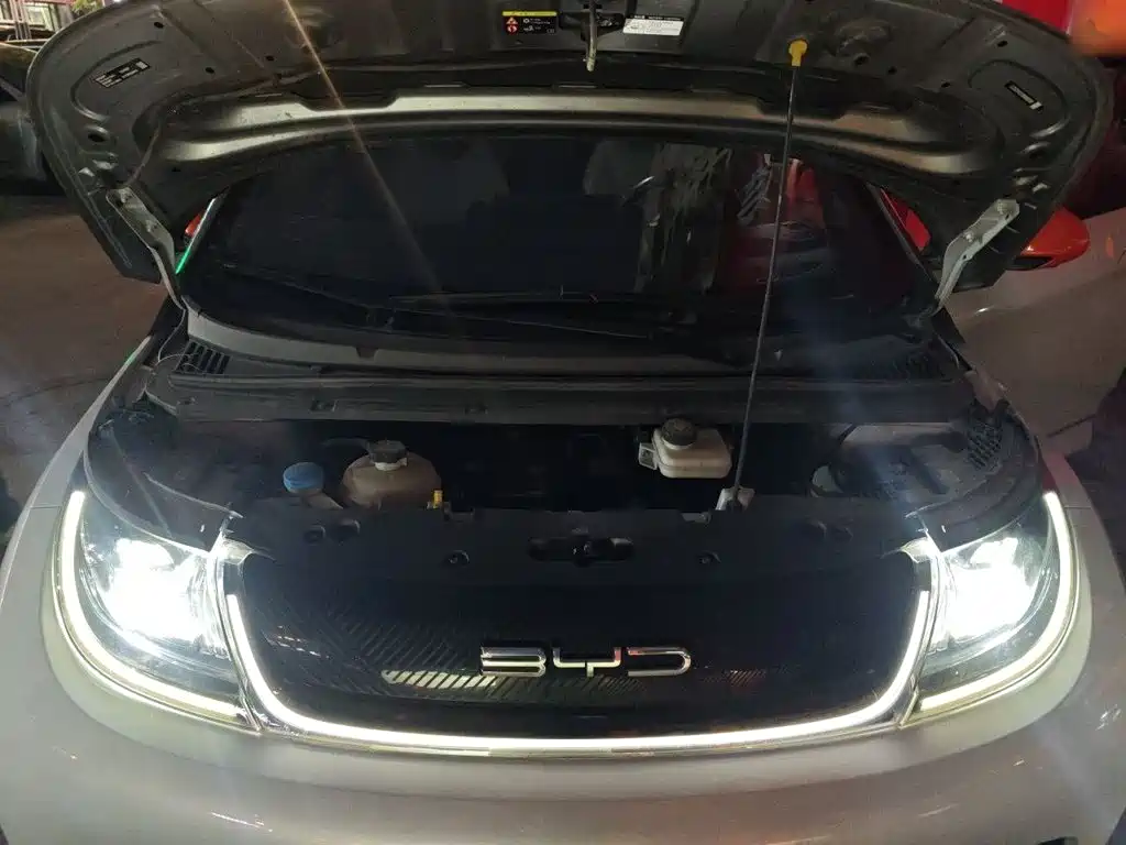 BYD Dolphin — миниатюра 11
