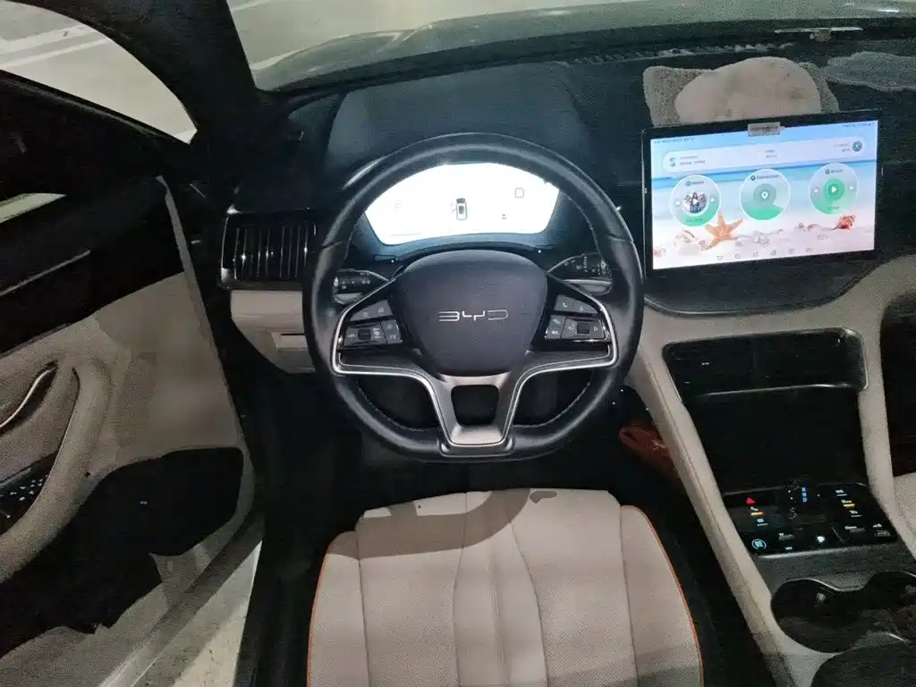 BYD PLUS New Energy — миниатюра 6