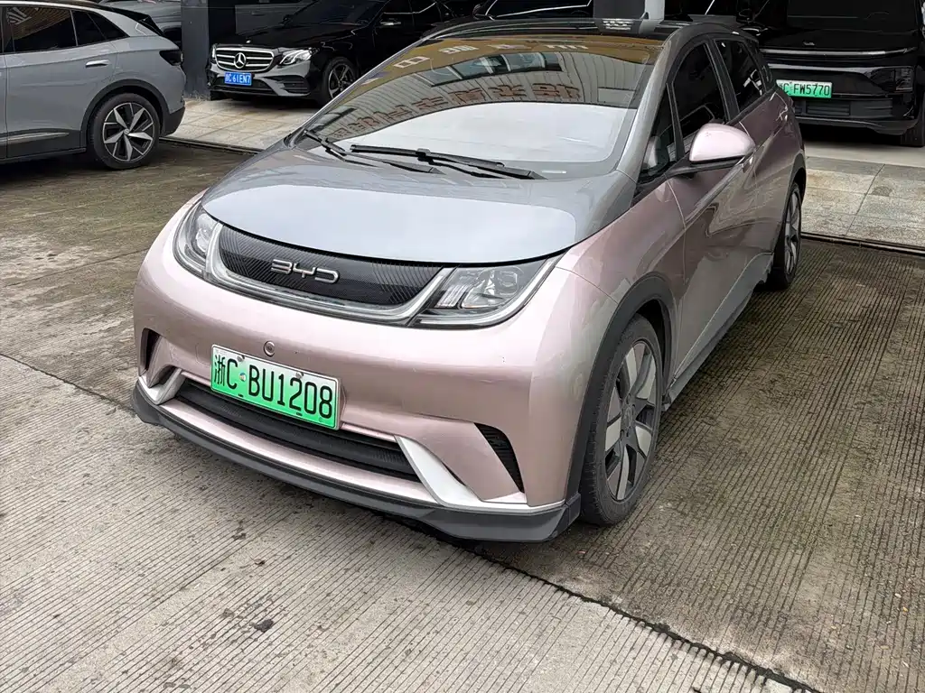 Byd Dolphin 2022