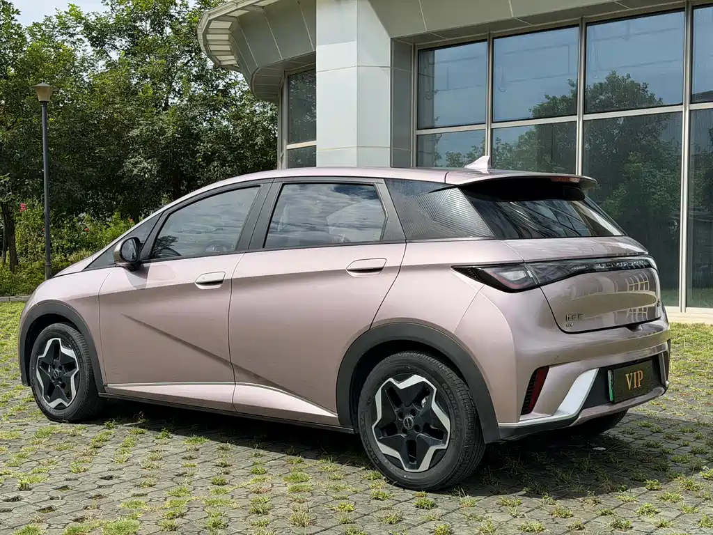 BYD Dolphin — миниатюра 6