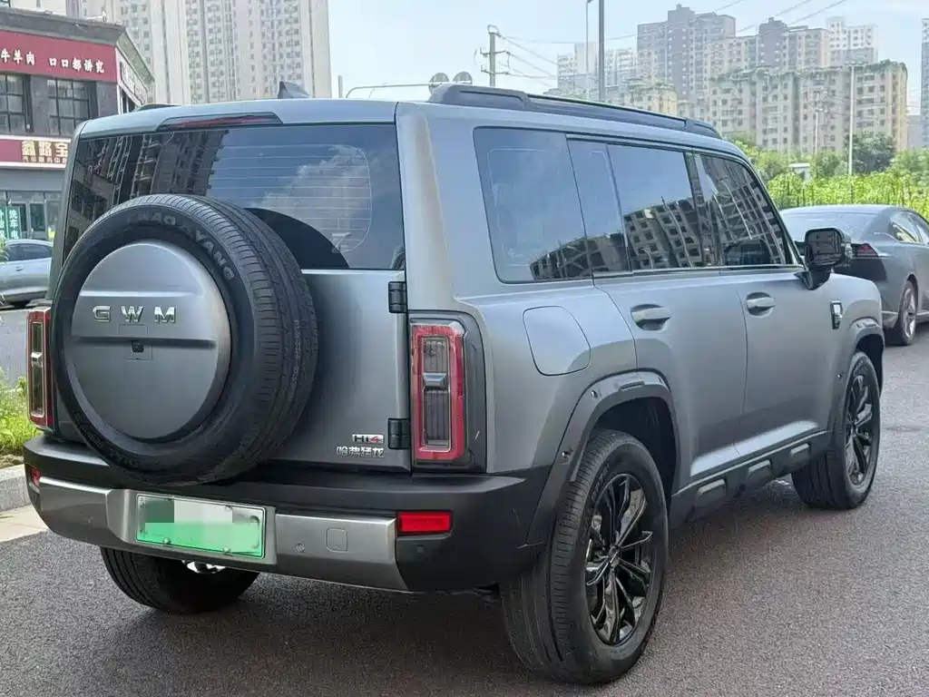 Haval Menglong New Energy — миниатюра 4