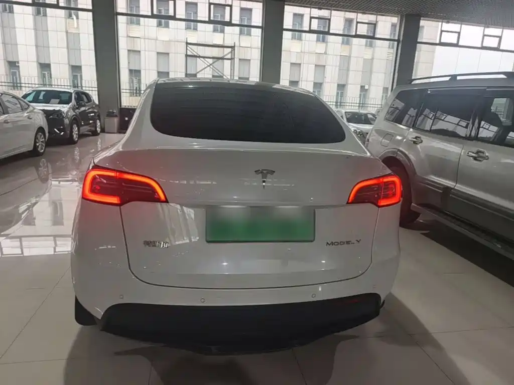 Tesla Model Y — миниатюра 6