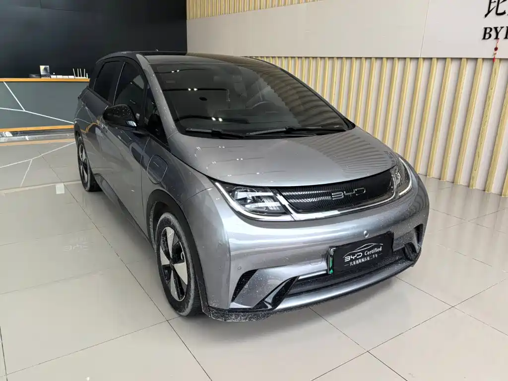 BYD Dolphin — миниатюра 3