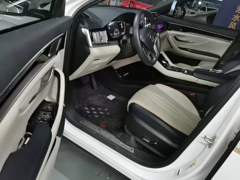 BYD PLUS New Energy — миниатюра 16