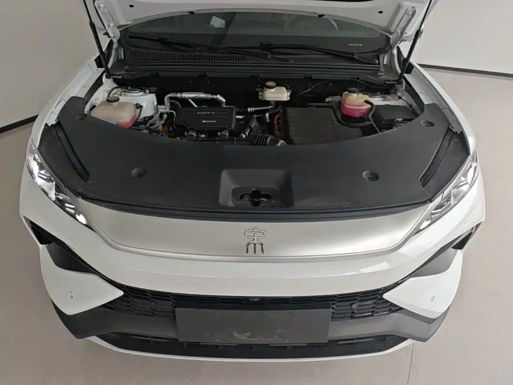 BYD Pro New Energy — миниатюра 20