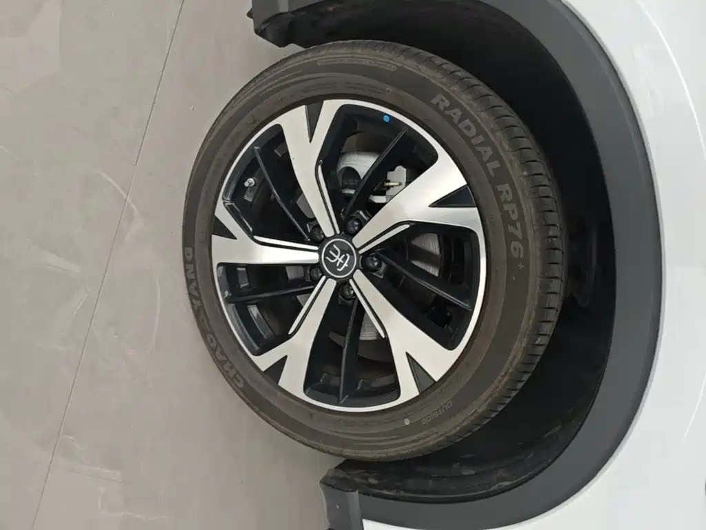 BYD Pro New Energy — миниатюра 23