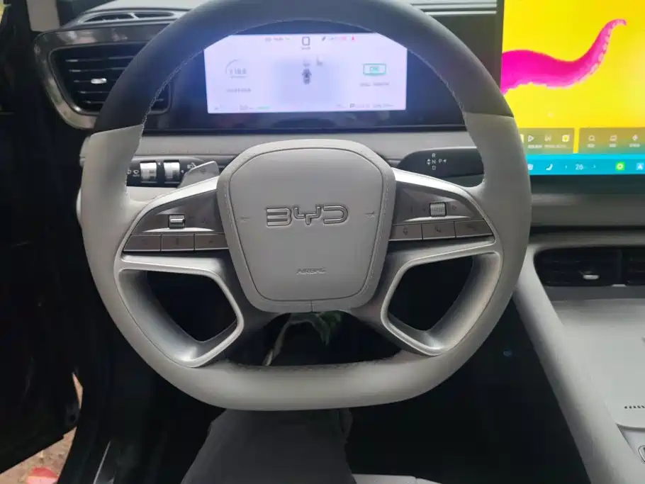 BYD Sealion 06 — миниатюра 15