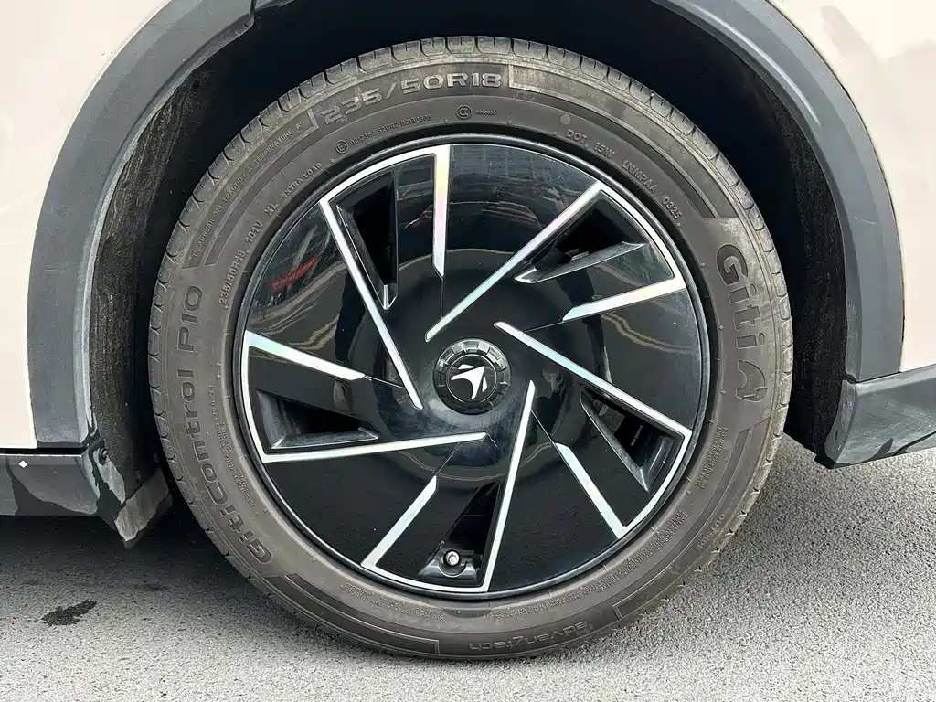 ARCFOX EXTREME FOX POLAR FOX ALPHA S5